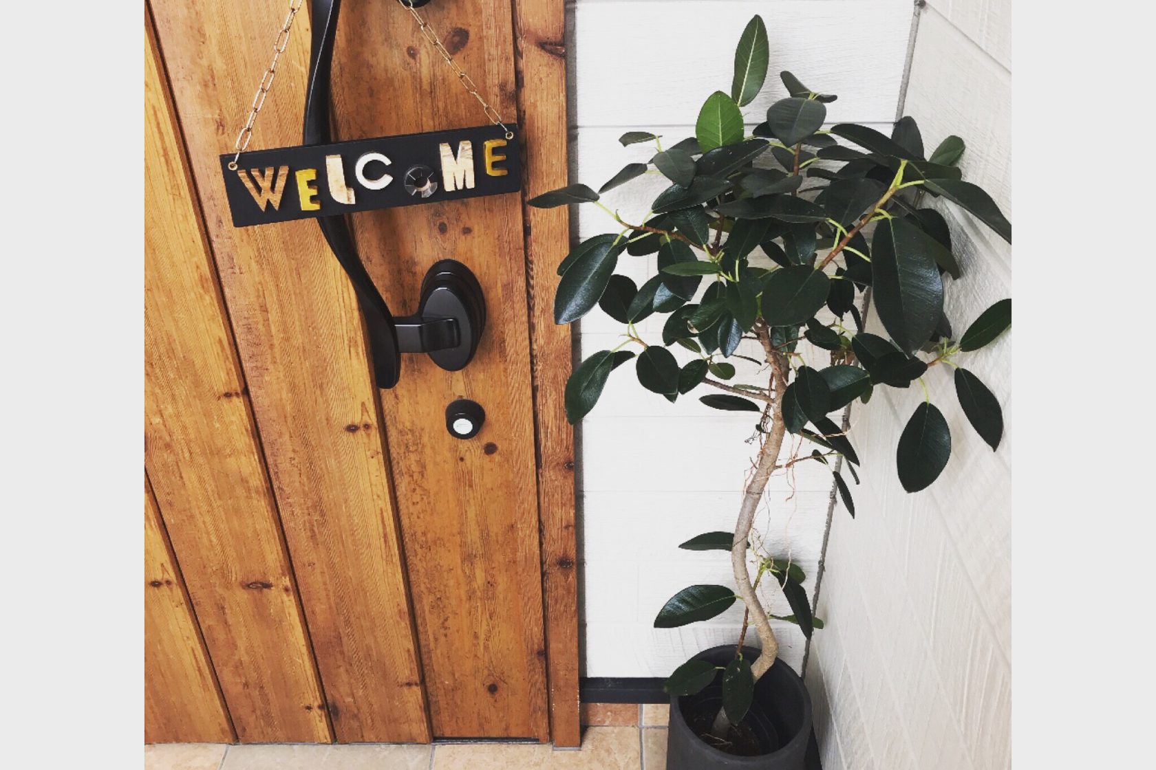 だいすきみどり🍃